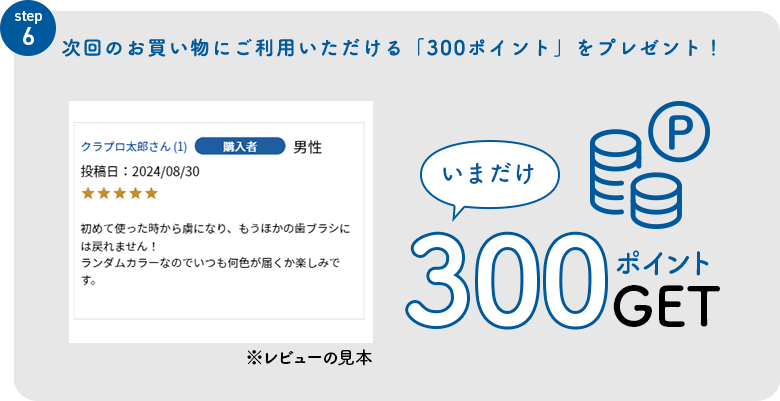 step5 300ポイント