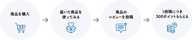 レビューの流れ 100ポイント