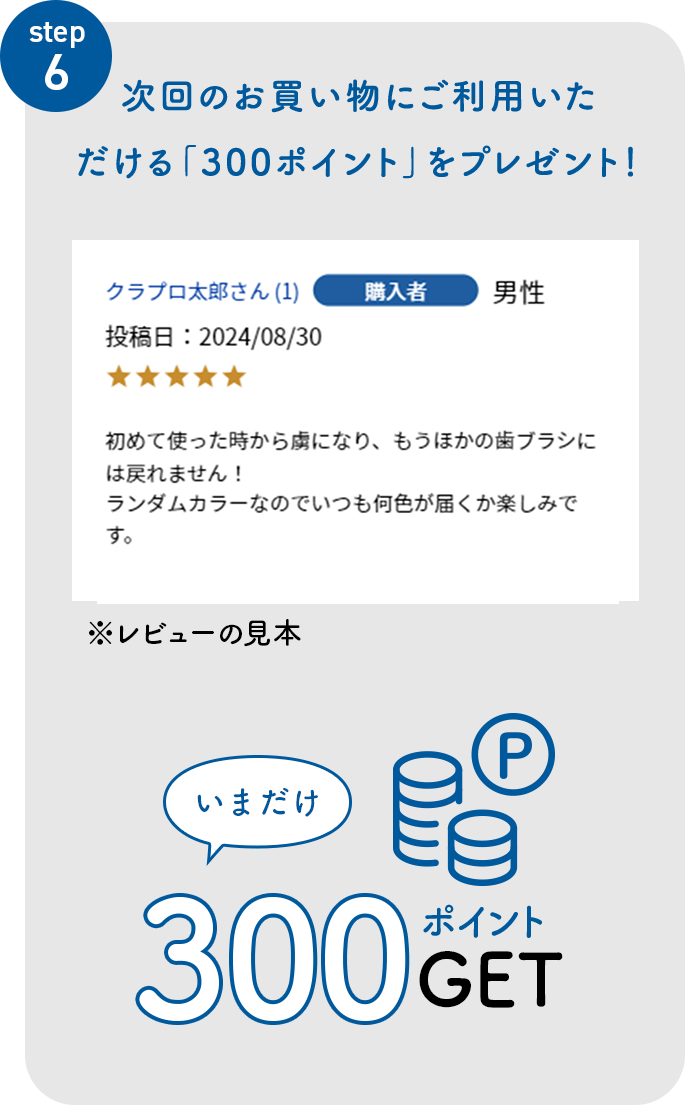 step5 300ポイント