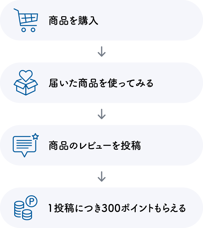 レビューの流れ 100ポイント